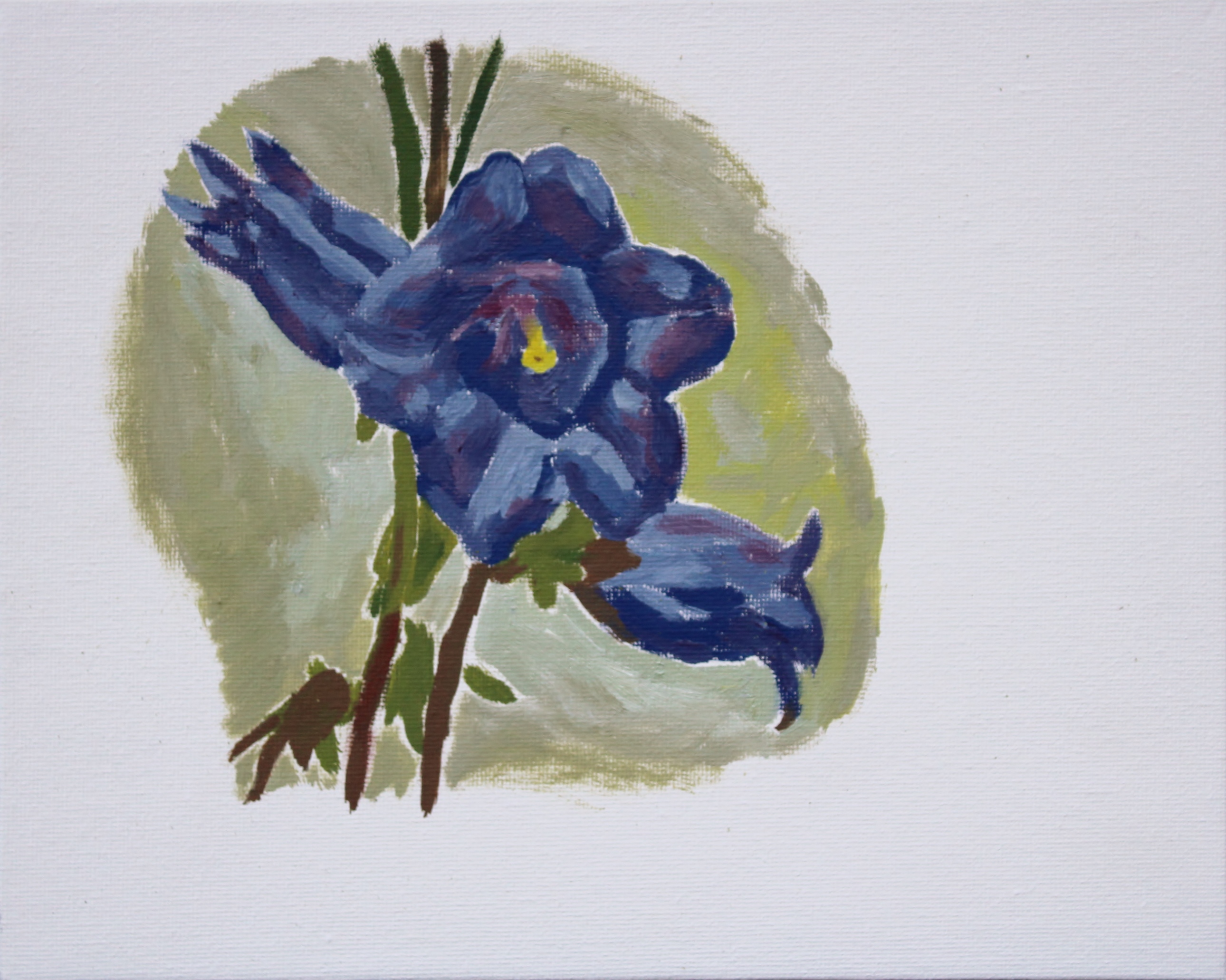 Bellflower (campanula) study – peter robinson fine art